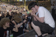 HORSEBASTARD